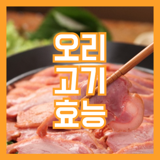 오리고기 효능 5가지! 지방 괜찮을까!?