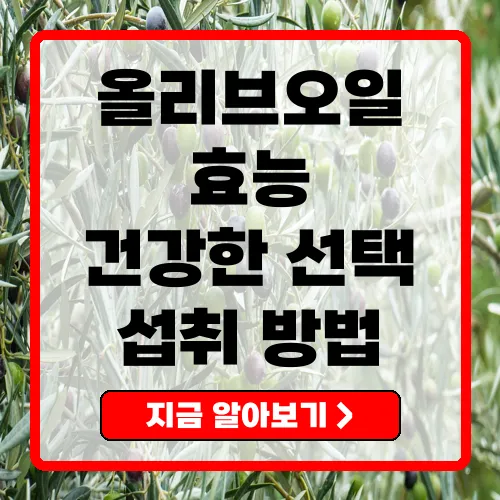 올리브오일의 효능과 올바른 섭취 방법