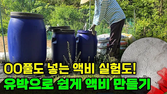 액비 희석비율 주기맞추기 잎색개선 안전한 급수 방법_5