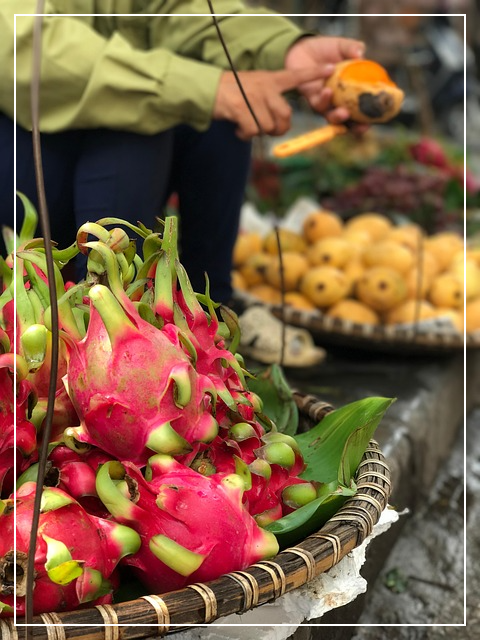 용과의 효능과 효과 부작용