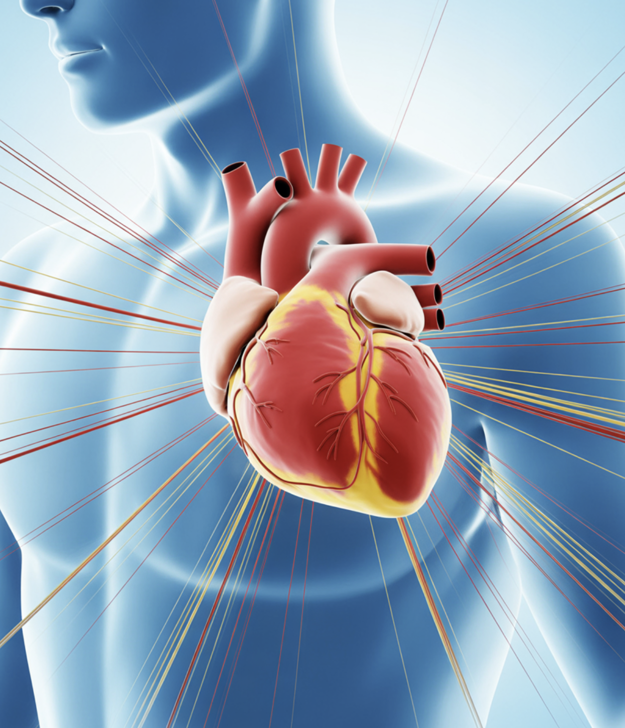 1. 가장 먼저 의심하는 곳&amp;#44; 심장이 보내는 위험 신호
