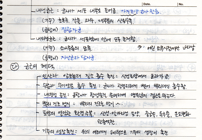 균근, 균근의 혜택