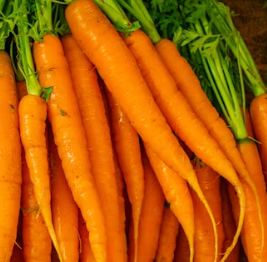 당근 효능 부작용 고르는법 칼로리