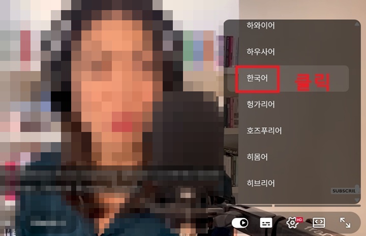 메뉴창에 여러 언어 이름 보임
