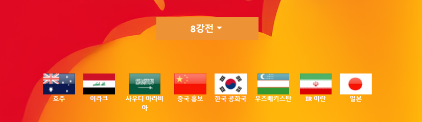 8강 진출 국가