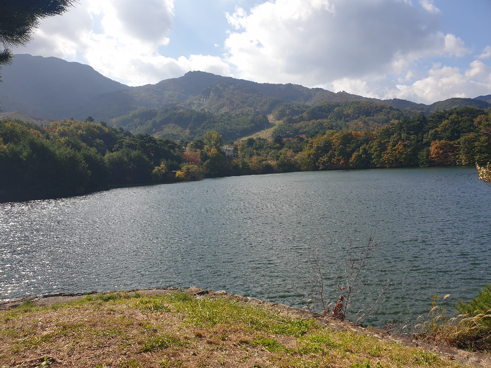 설천호 전너편까지 시야를 방해하는 곳이 없는 스폿.