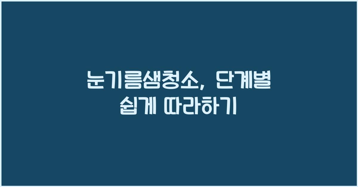 눈기름샘청소