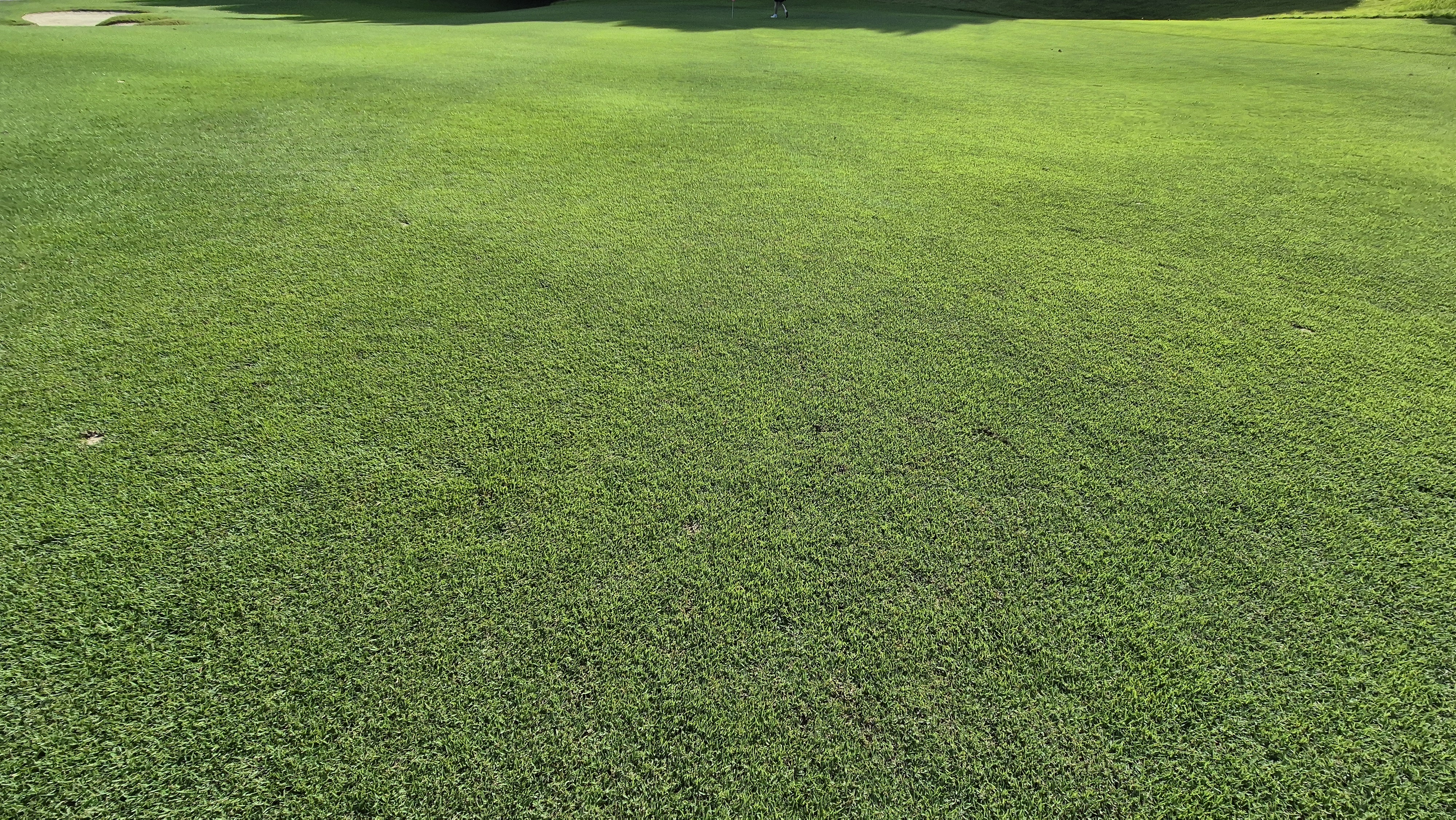 골프존카운티 화랑 라운드 후기