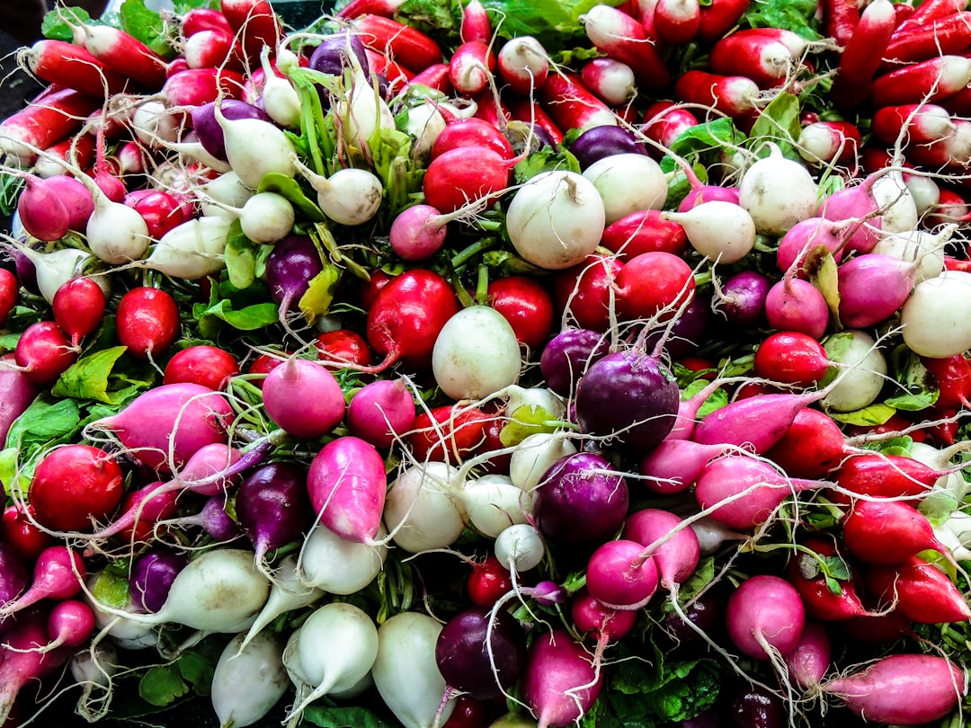 Radish