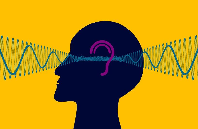 귀에서 들리는 소리에 대한 사진