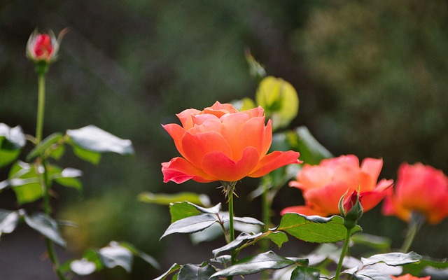 퇴사자 연말정산 방법