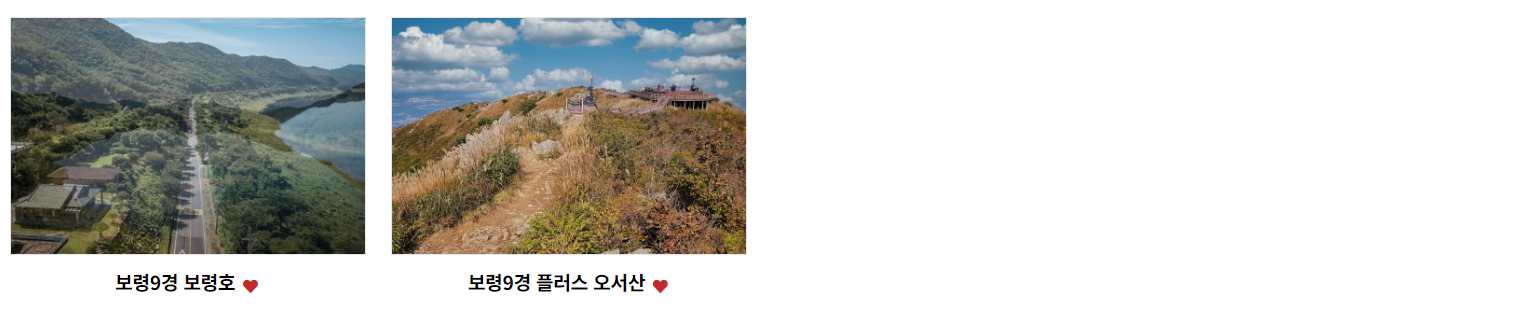 무창포 주꾸미 도다리 축제