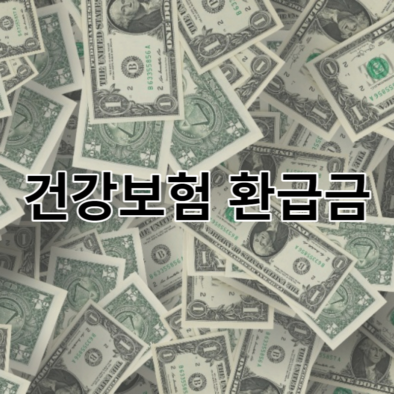 건강보험 환급금 조회