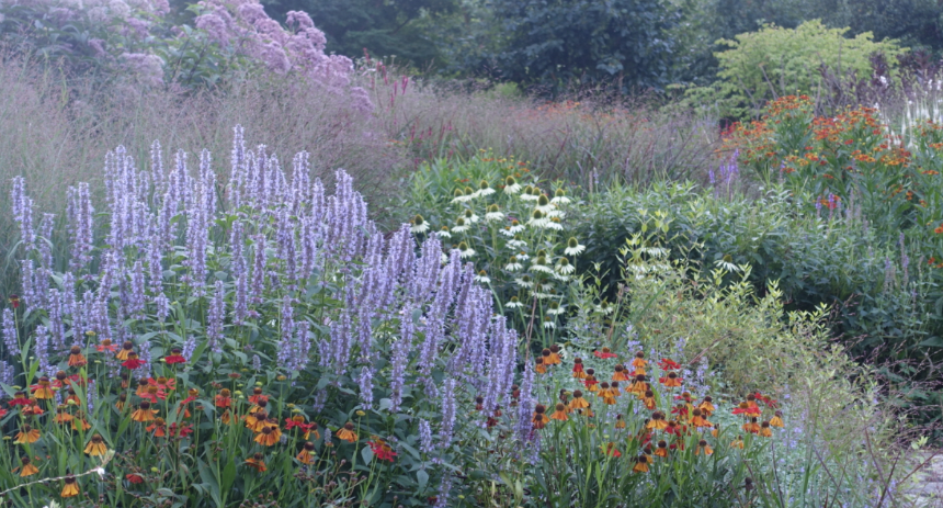 특색있고 아름다운 민간 정원 30선 추천 여행 - 12. 인제 찍박골 정원