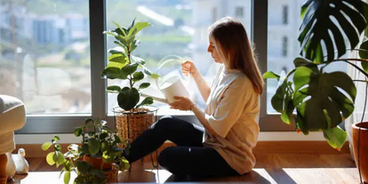 집에서 키우기 쉬운 반려식물 추천