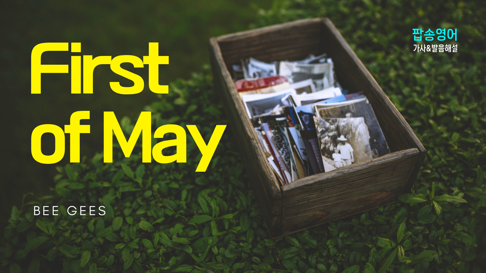 Bee Gees의 ‘First of May’로 감성 가득한 영어 공부