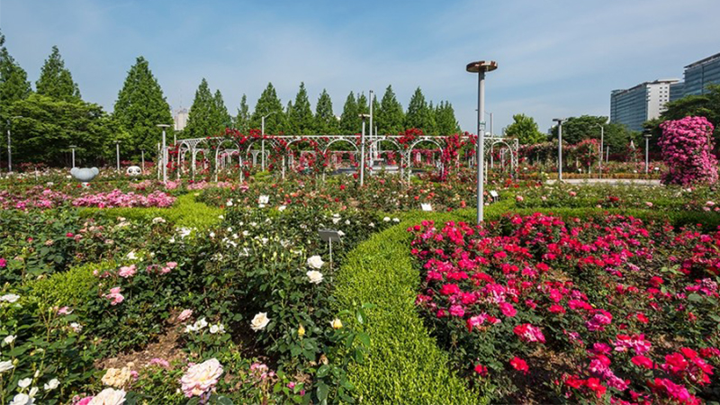 일산호수공원 가는 법 주차장 정보 (서울근교 주말여행 추천)