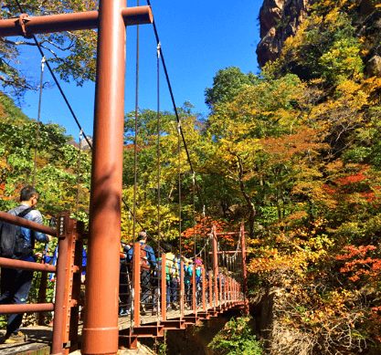 단풍여행 당일 단풍버스여행