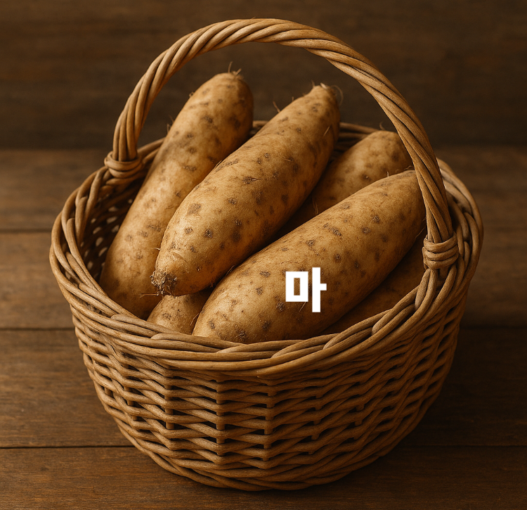 소화개선 장건장 당뇨예방 뿌리채소 마 효능 영양성분