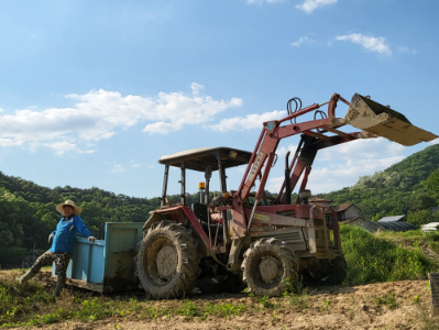 이천 도드람쌀효심