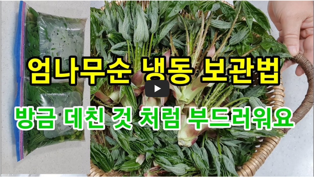 엄나무순 냉동보관 사진