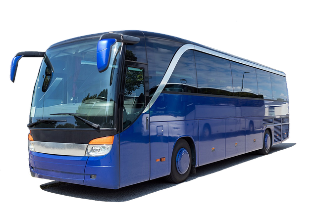 성남시노인교통비지원신청