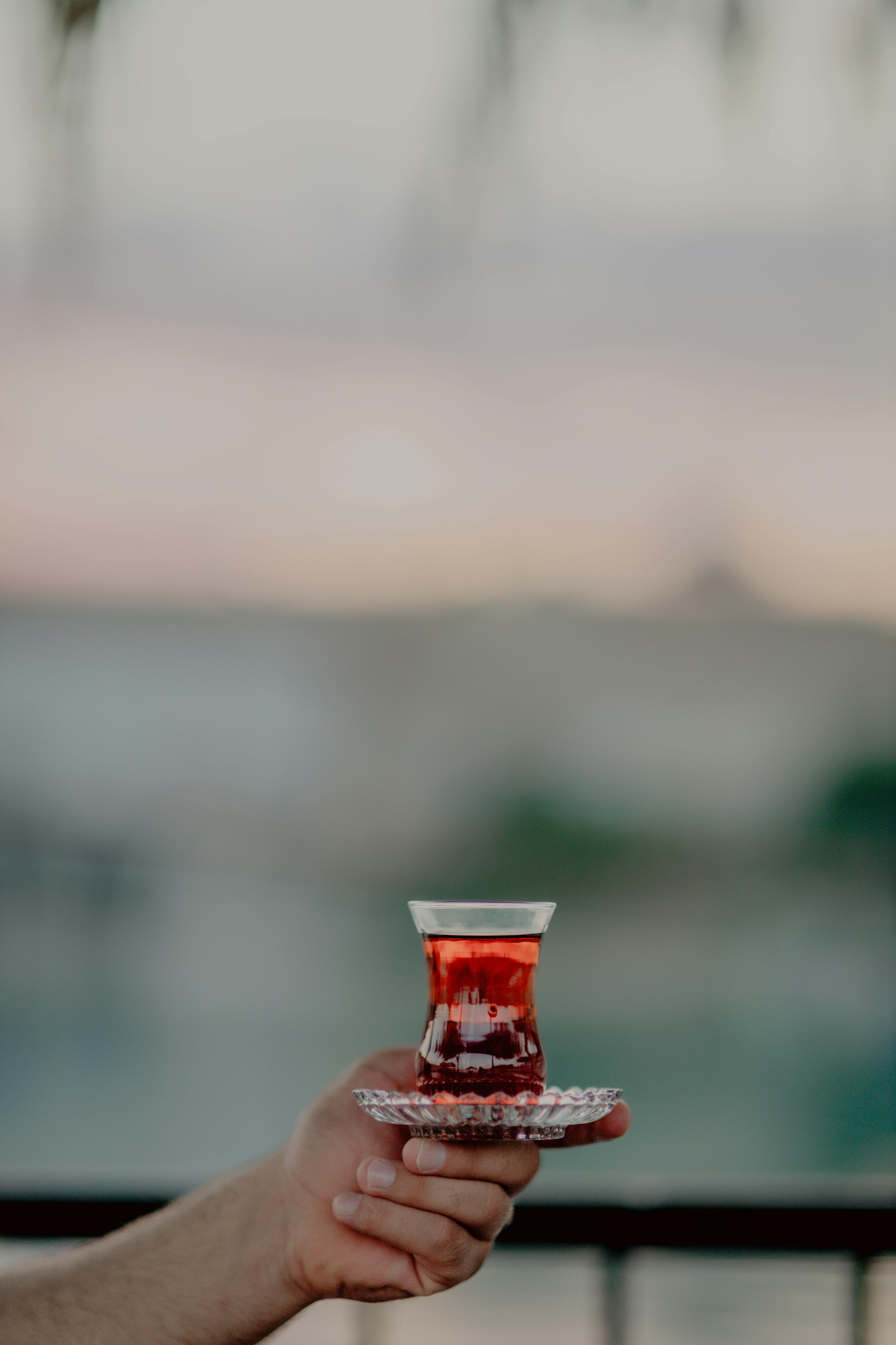 "터키항공 이코노미와 비즈니스 후기: 안전성, 서비스, 진짜 경험담 총 정리!"