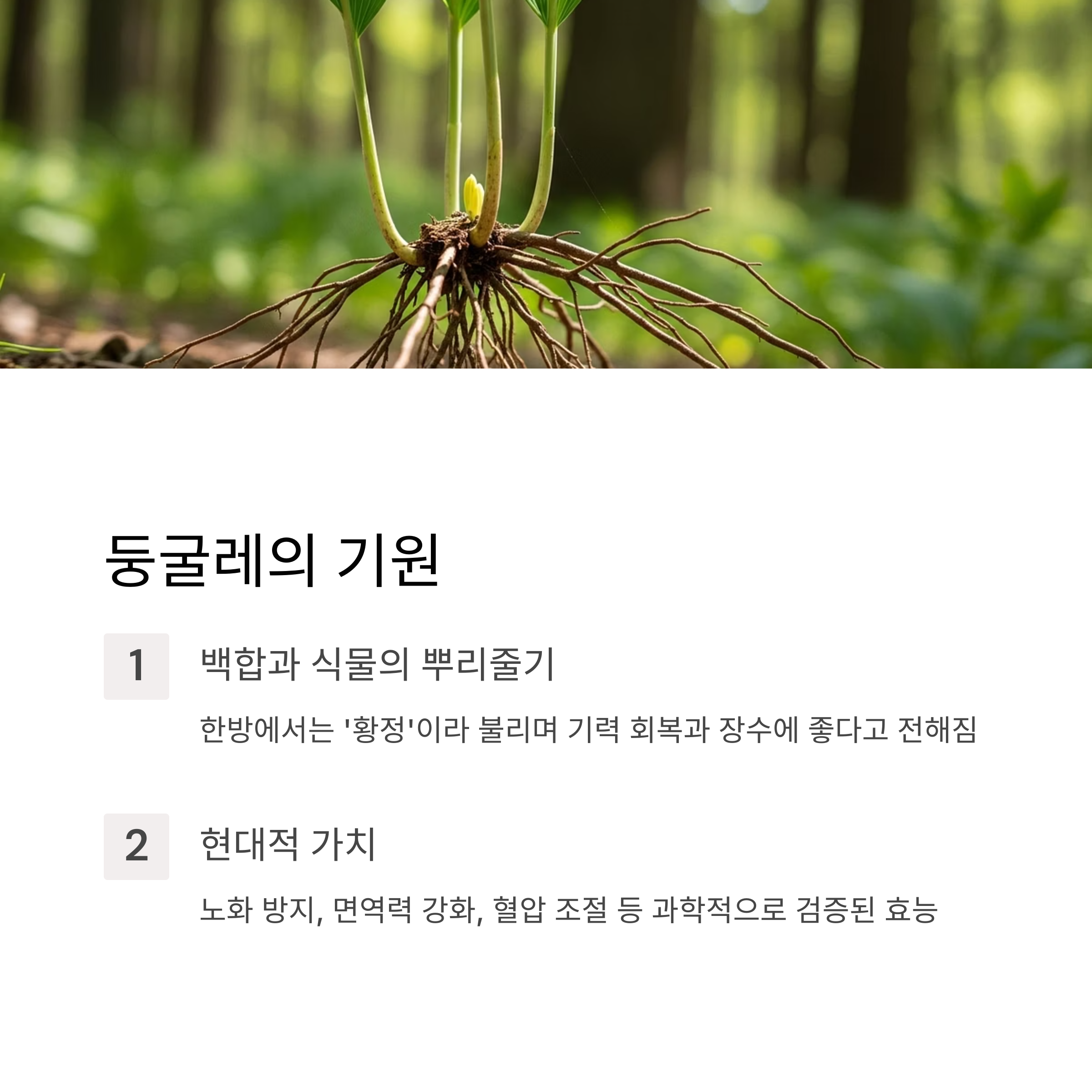 둥굴레의 기원
