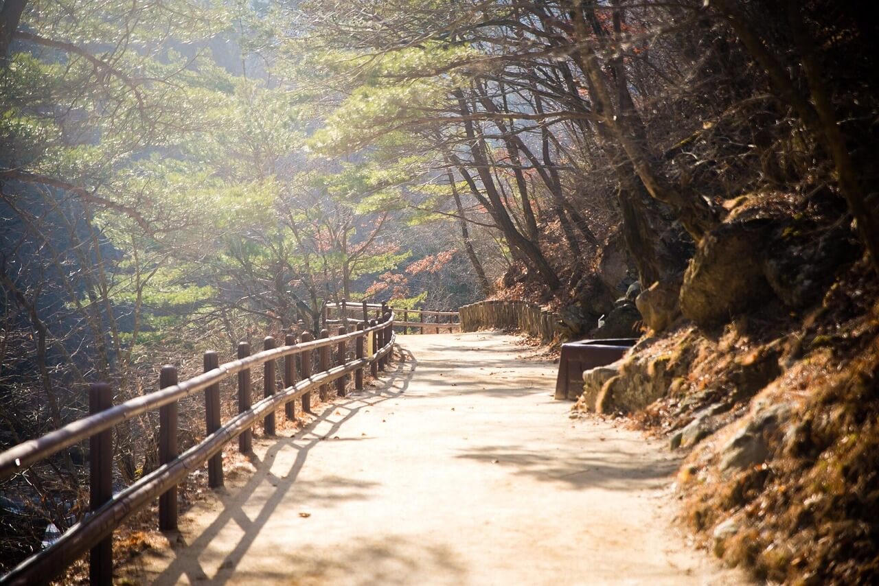 6월 주말 나들이 추천! 덜 붐비는 감성 여행지 Best 5, 현지인 강추