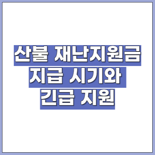 산불 재난지원금 지급 시기와 긴급 지원