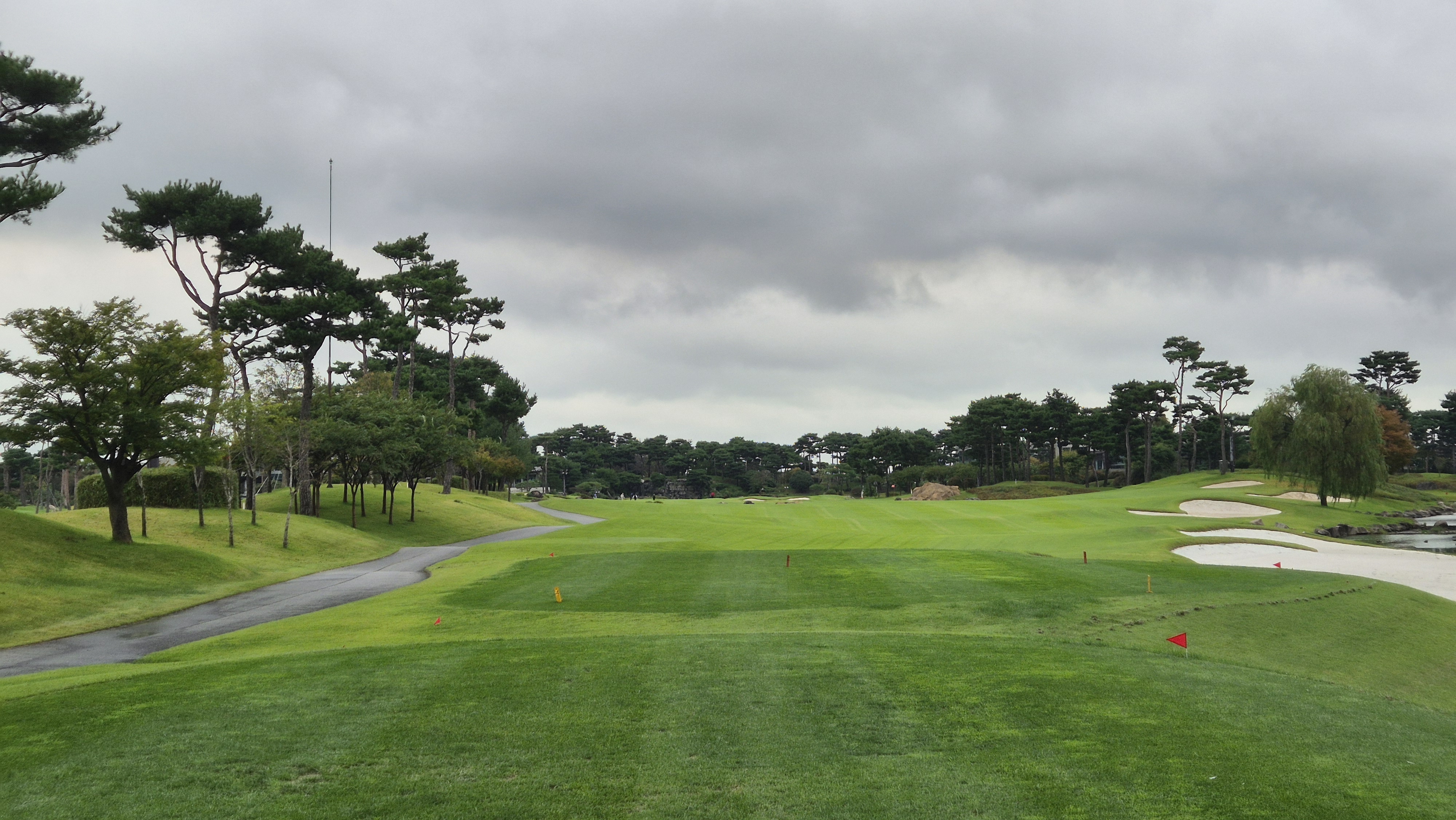 파인스톤cc 스톤 코스