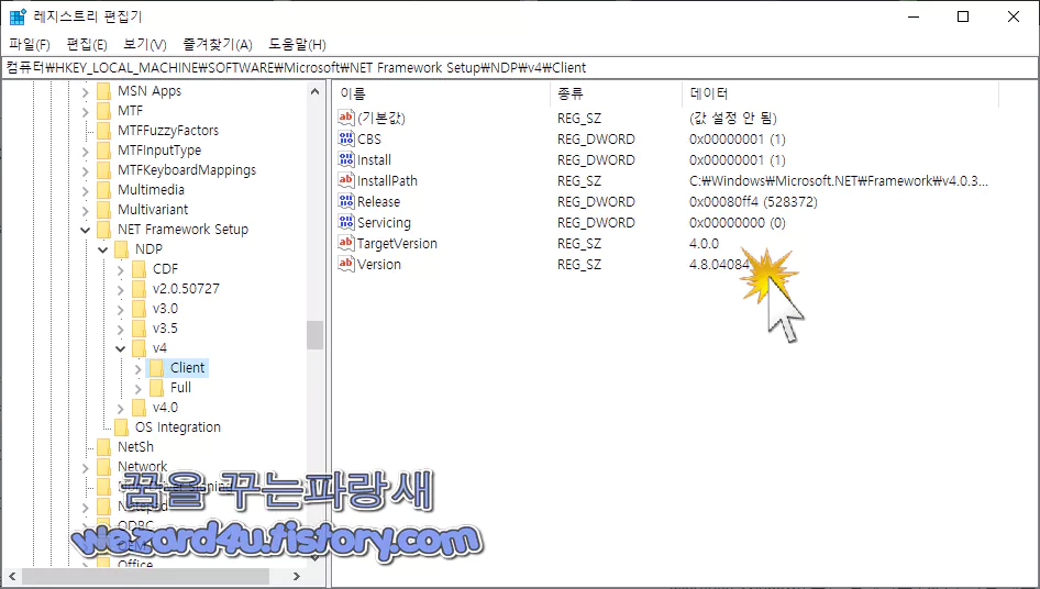 NET Framework 버전 확인