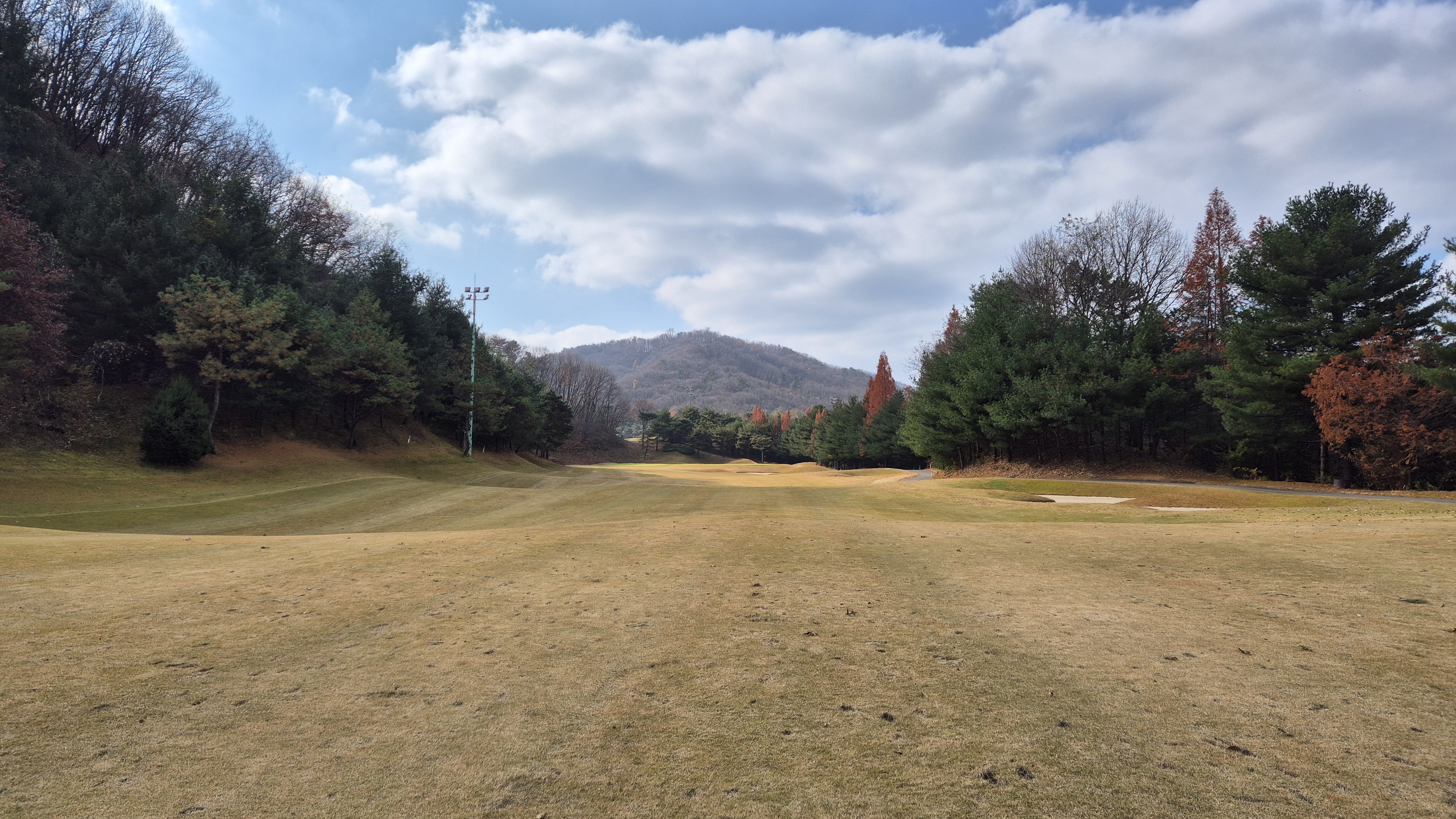 올데이 떼제베cc 누리코스 사진 및 공략 정보