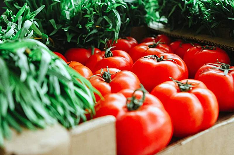 토마틴이-들어있는-야채-모습