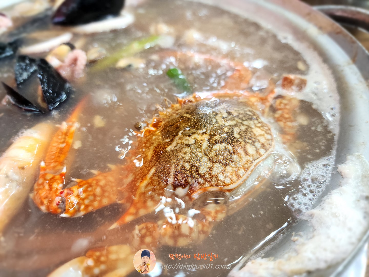 해물칼국수