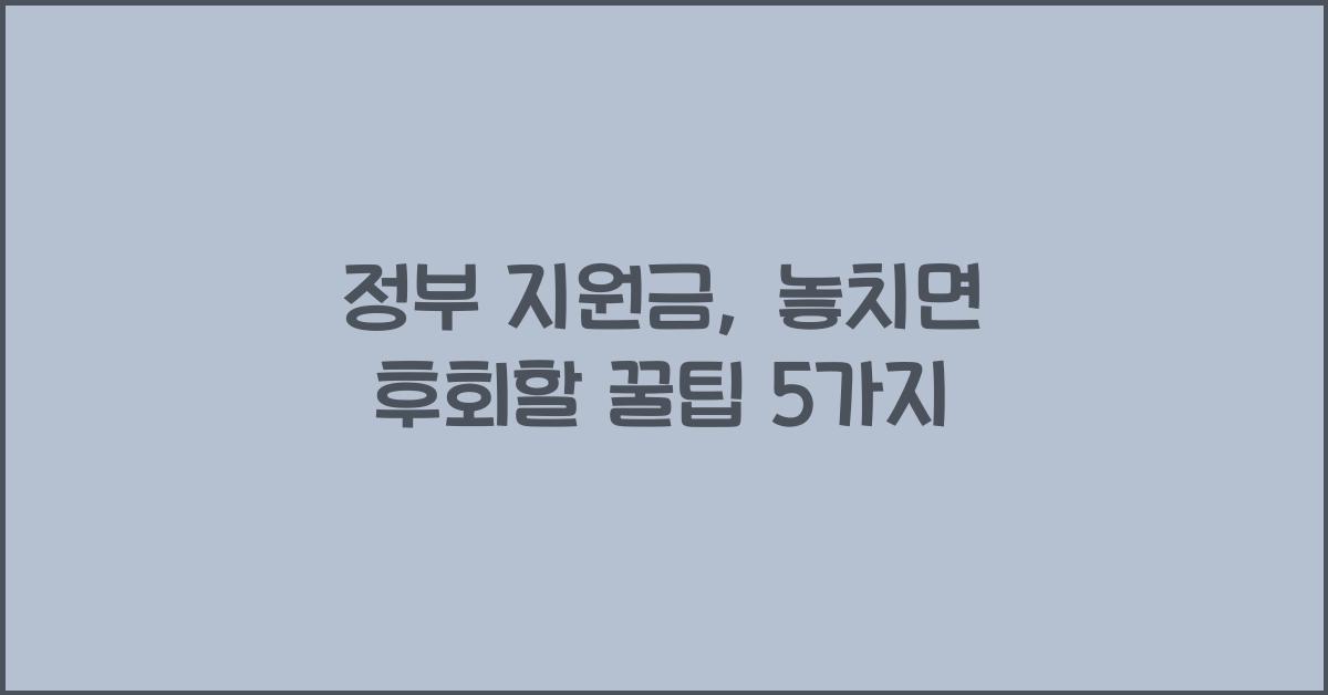 정부 지원금