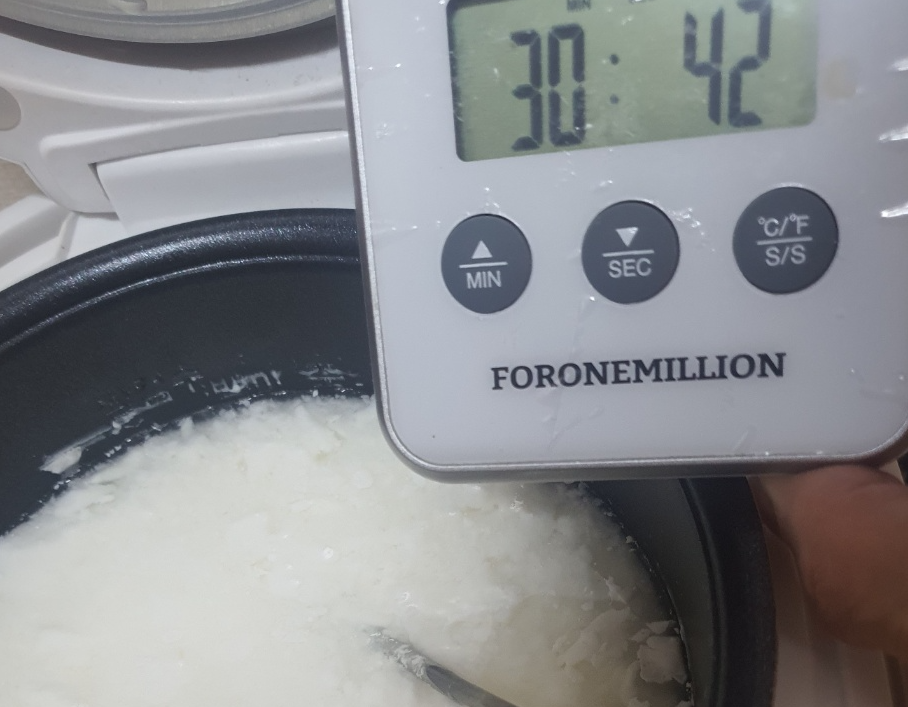 밥솥에서 발효중인 우유