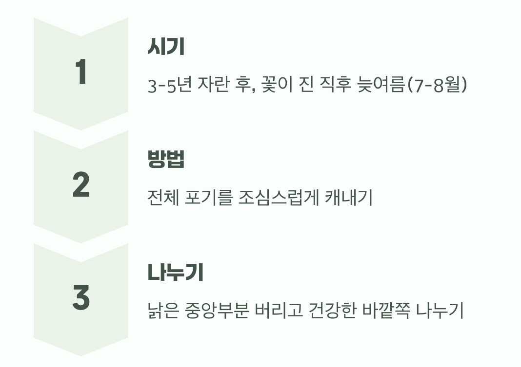 기쁨을 나누는 법&amp;#44; 포기나누기