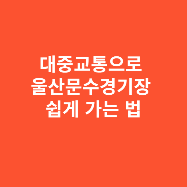 대중교통으로 울산문수경기장 쉽게 가는 법