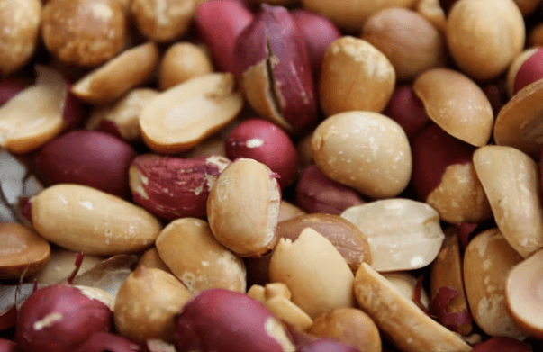 매일 땅콩 한 줌: 동안을 위한 식단 가이드