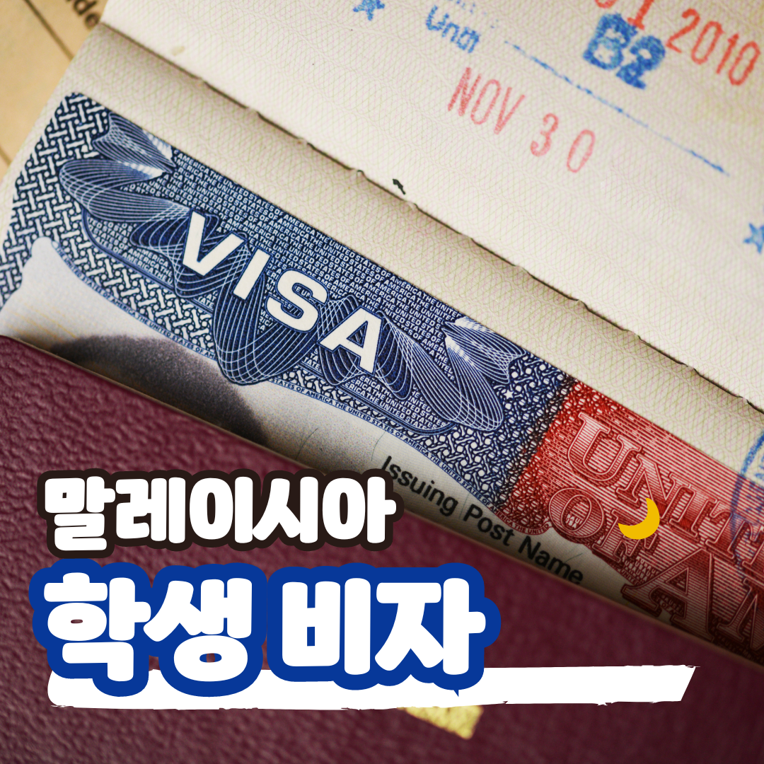 학생 비자