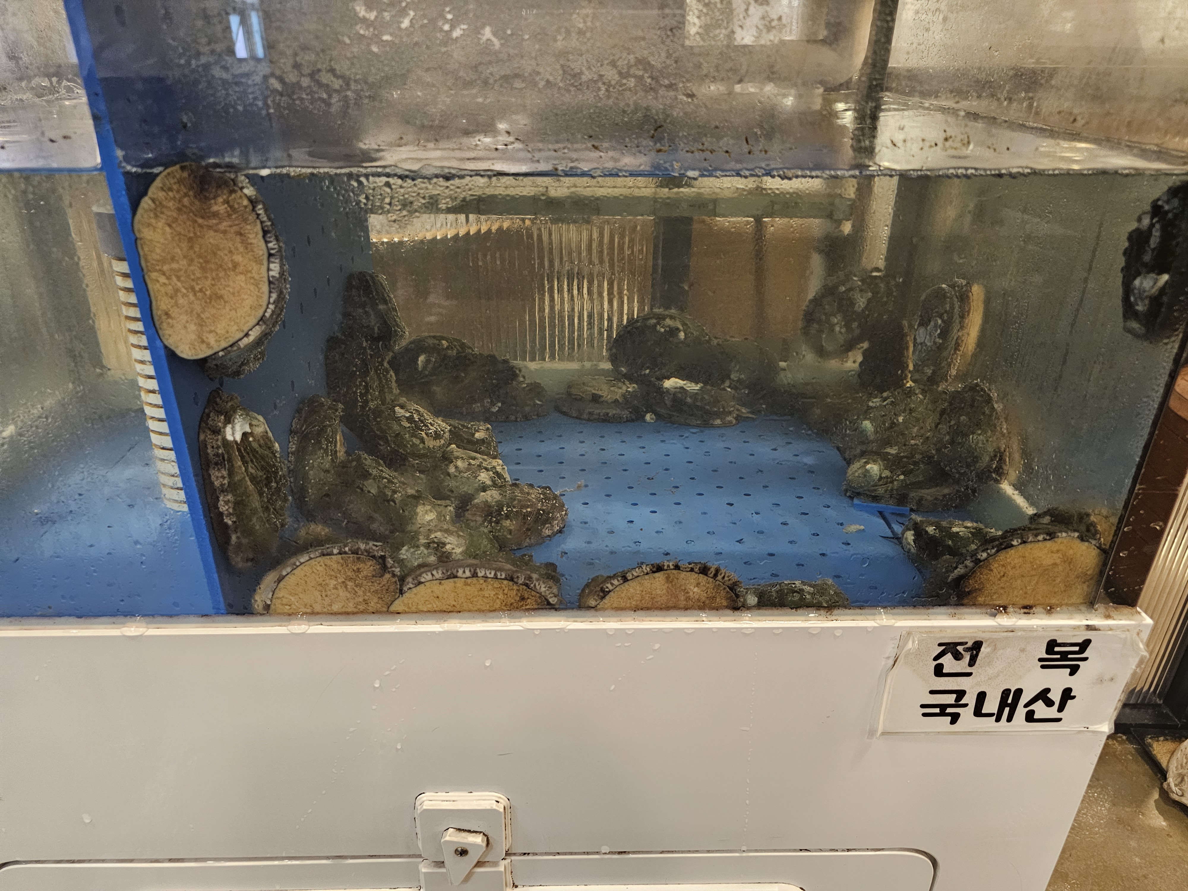 서울_양천구_목동_가랑_전복