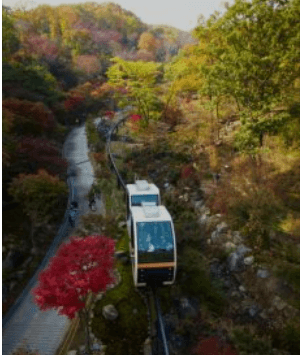 화담숲 예약하기