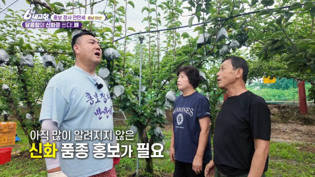 배 농장에서 대화를 하는 사람들