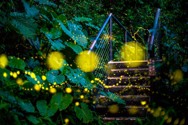 대만 여행지원금 수령하기