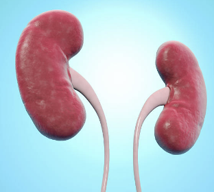 신장에 좋은 음식 7가지 조리법 나쁜 음식 등 총정리(최신)