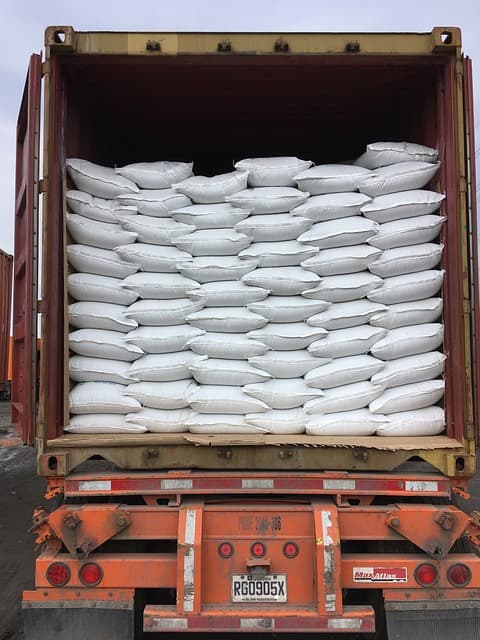 유전자 변형 작물(GMO)은 미래 식량 위기를 해결할까?