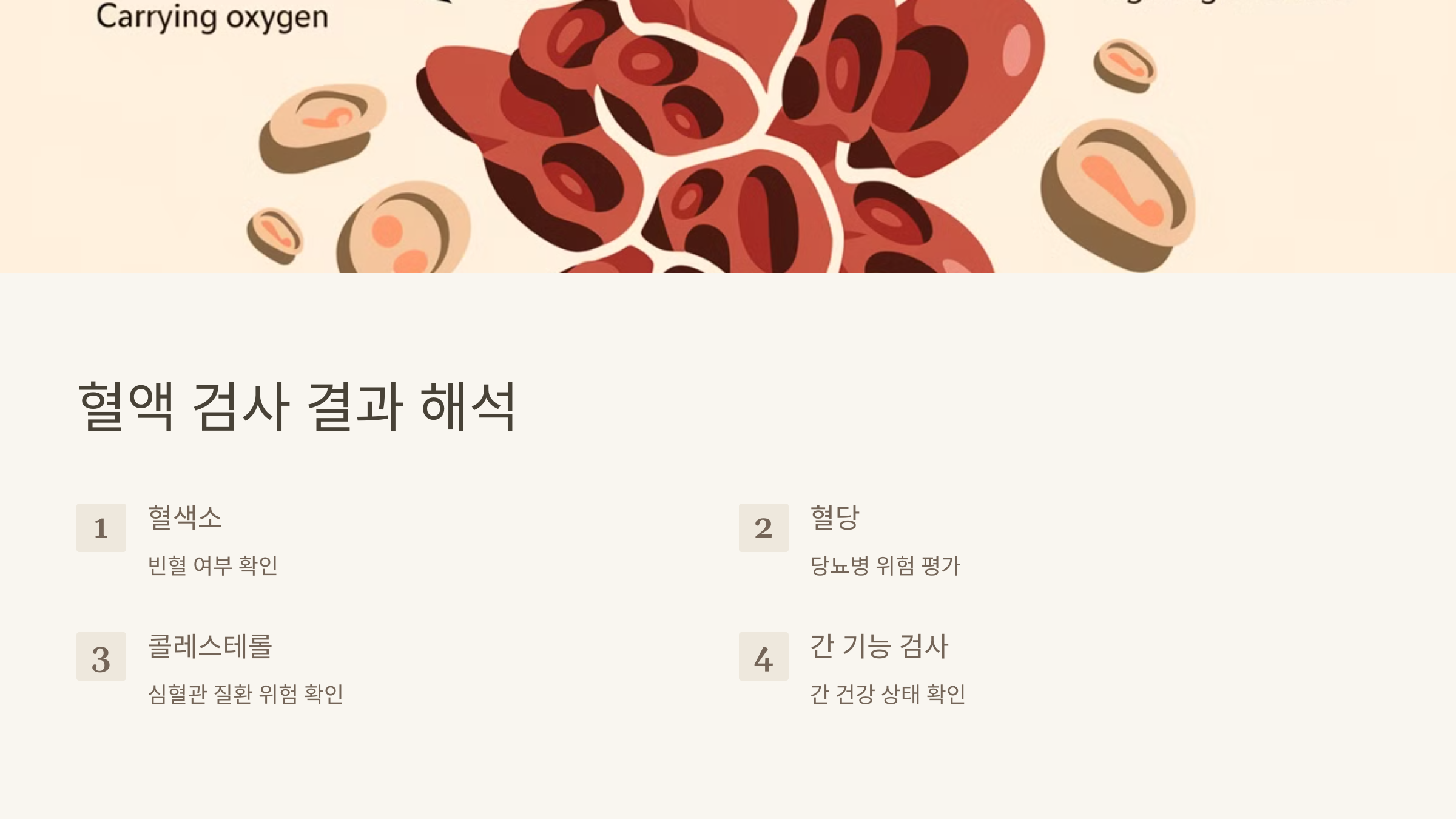 혈액 검사 결과 해석