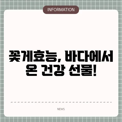 꽃게효능, 바다에서 온 건강 선물!