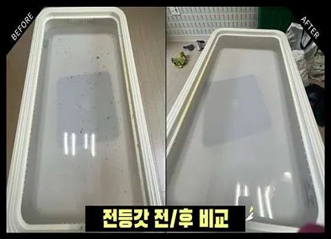 입주청소